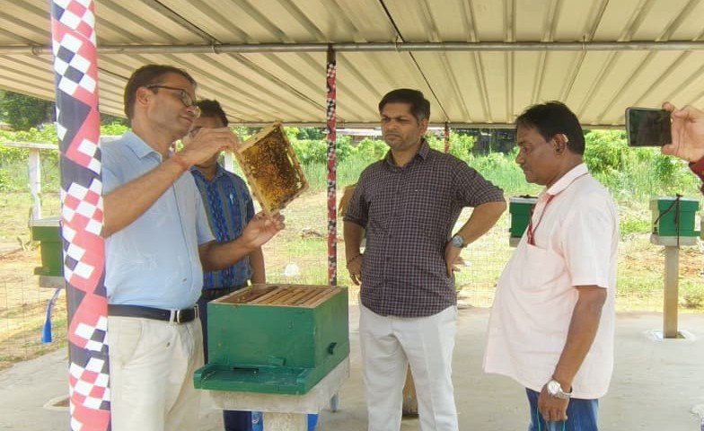Krishi Vigyan Kendra, Kandhamal